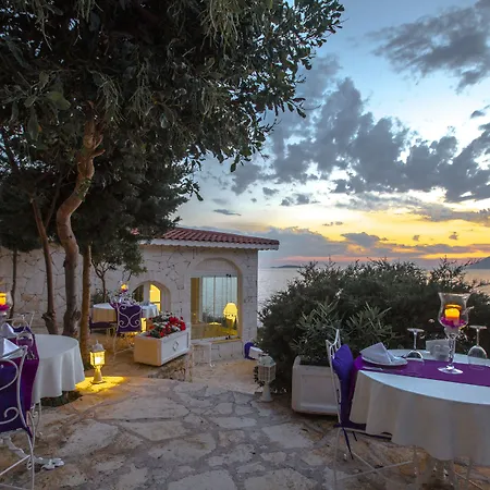 Lukka Exclusive - Adult Only +12